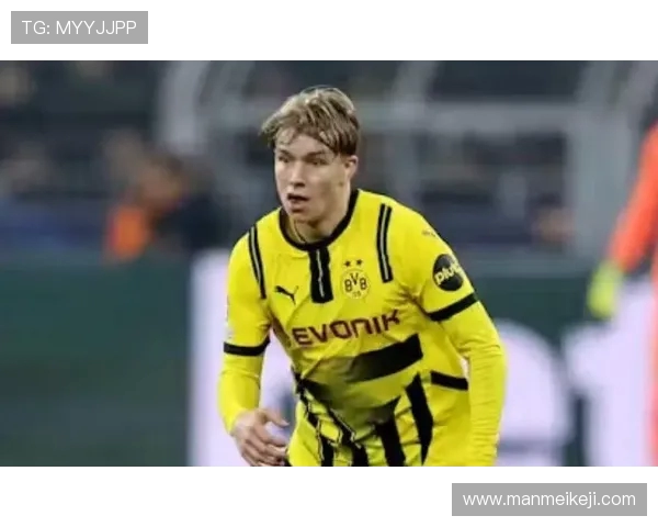 黄黑英雄崛起与争锋 多特蒙德足球风云再现 黄黑英雄崛起与争锋 多特蒙德足球风云再现