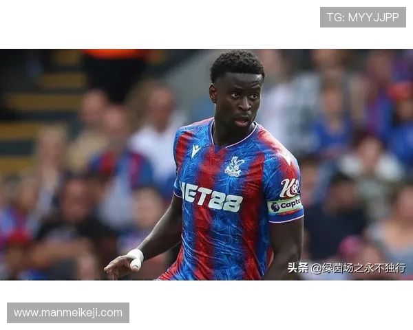 2018赛季水晶宫球员身价排行榜及转会前景分析